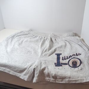 Vintage University Of Illinois Delta Pro Weight Heather Gray Shorts W/Pockets!